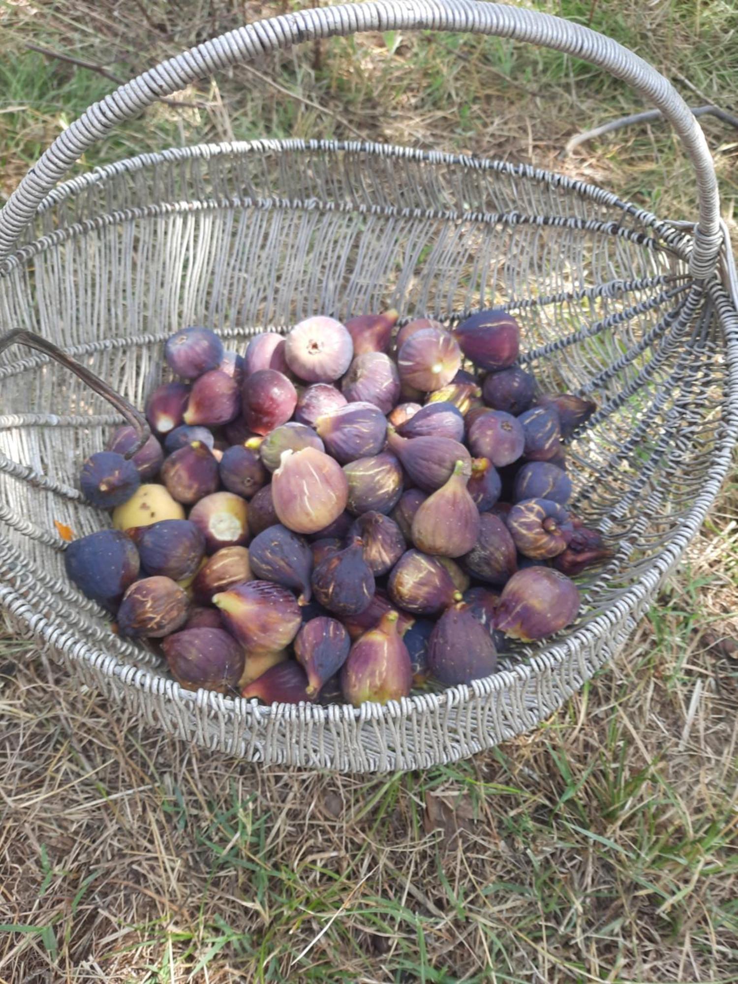 PërmetBujtina Lugina E Vjoses别墅 外观 照片